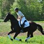 I Z C < > ; F a v o r i t e n ;